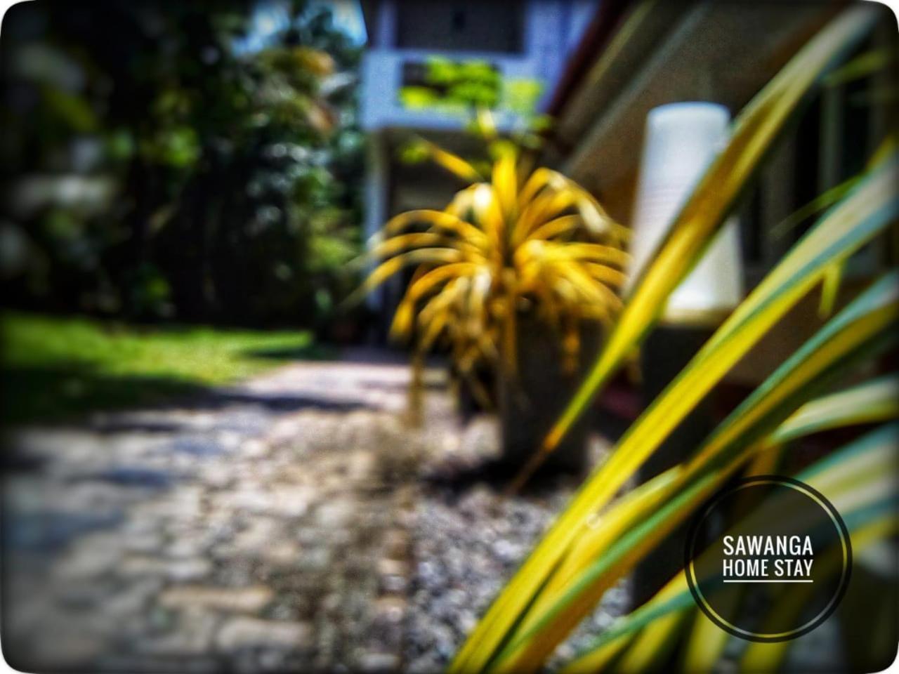 Sawanga Home Stay Weligama Exterior foto